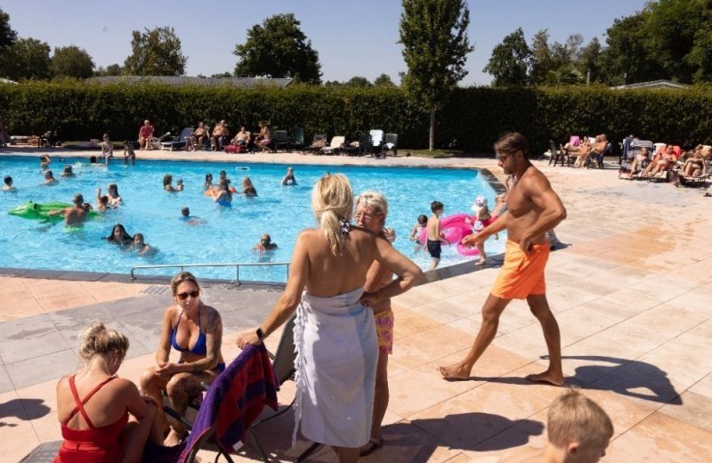 Klein paradijs camping in brabant met zwembad